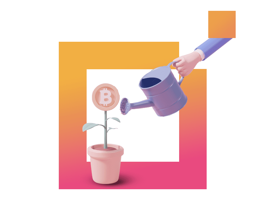 Digital Asset Management